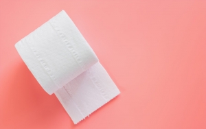 Toilet Training Blues