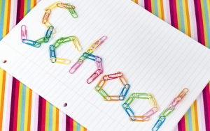 Ordinary School or Special School?