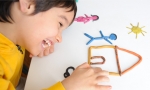 Is &lsquo;INCLUSION&rsquo; Really The Answer For Children with Special Needs?