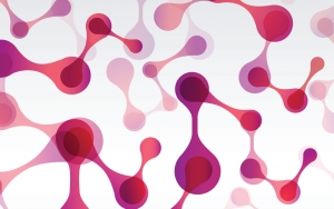 A life with few answers: Questioning in Rare Diseases